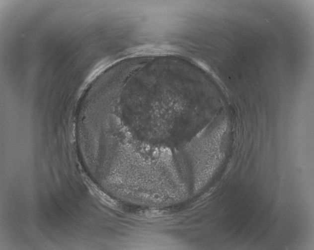 X0000080681459200701051022