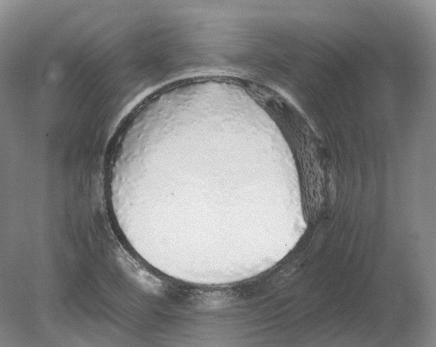 X0000080681460200701051021