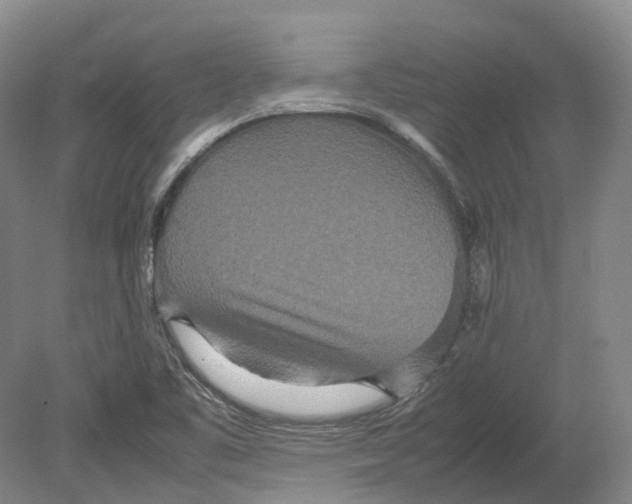 X0000080681461200701051021