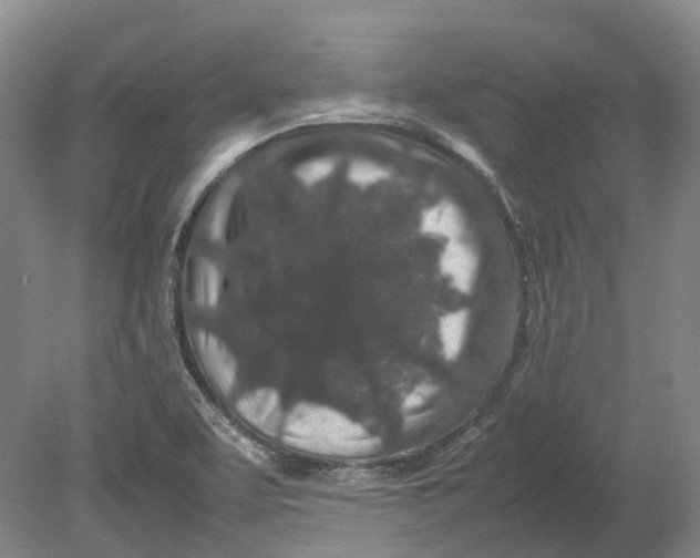 X0000080681463200701051021