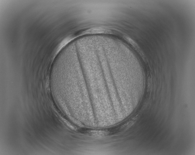 X0000080681465200701051021