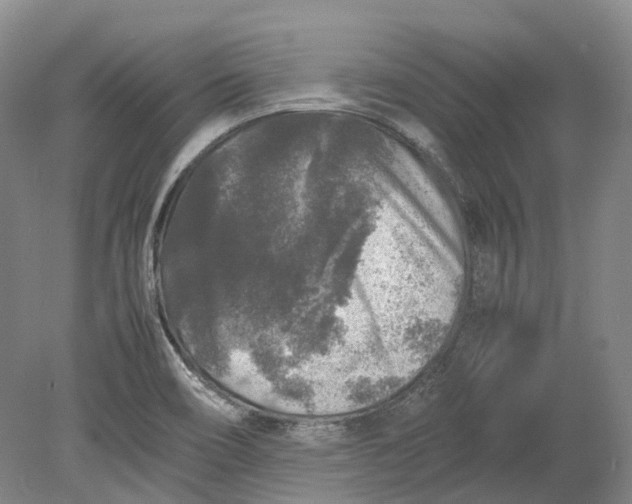 X0000080681466200701051021