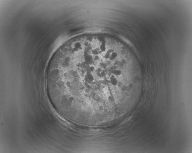 X0000080681467200701051021