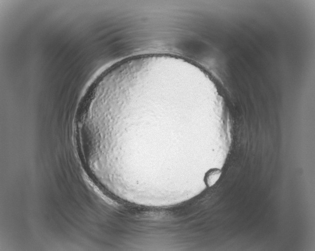 X0000080681468200701051021