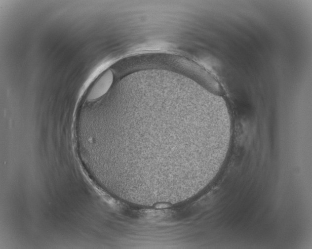 X0000080681469200701051021