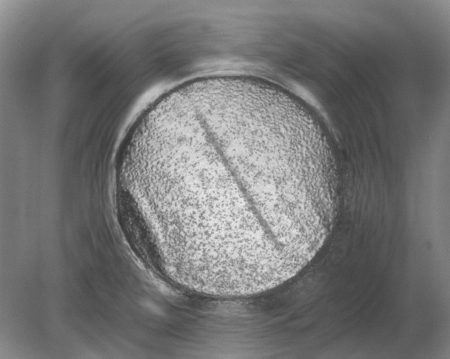 X0000080681472200701051021