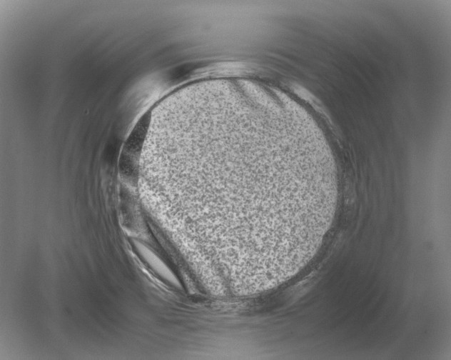 X0000080681473200701051021