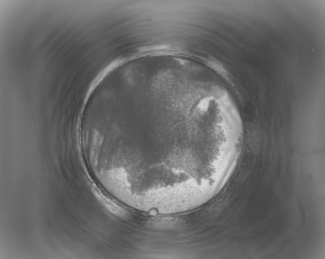 X0000080681474200701051021