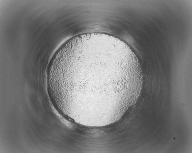 X0000080681476200701051021