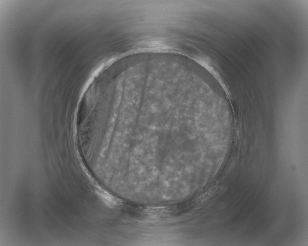 X0000080681477200701051021