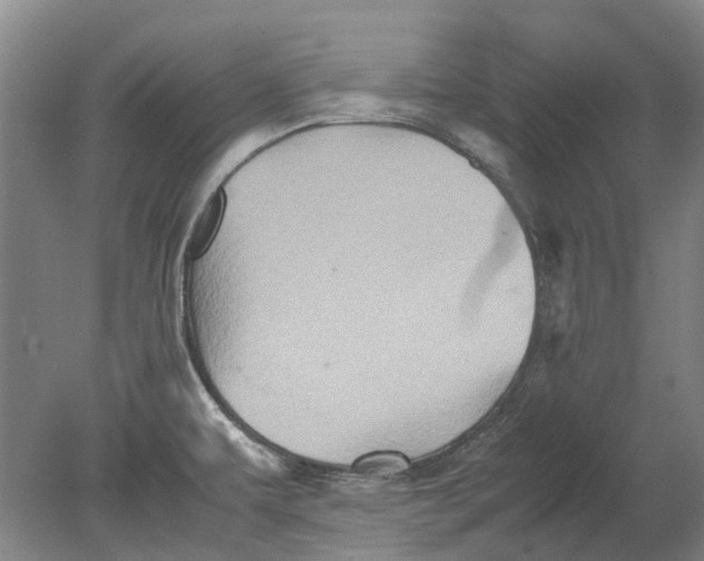 X0000080681479200701051021