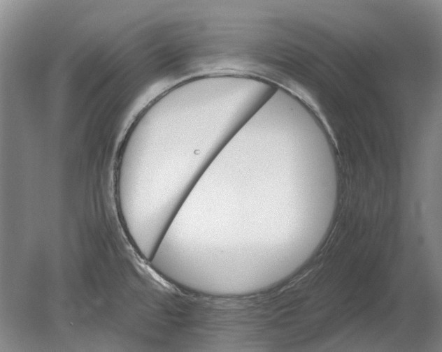 X0000080681480200701051021