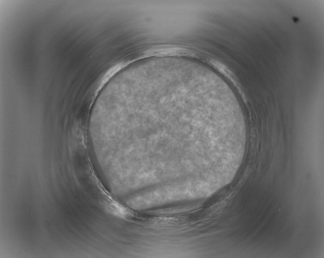 X0000080681481200701051021