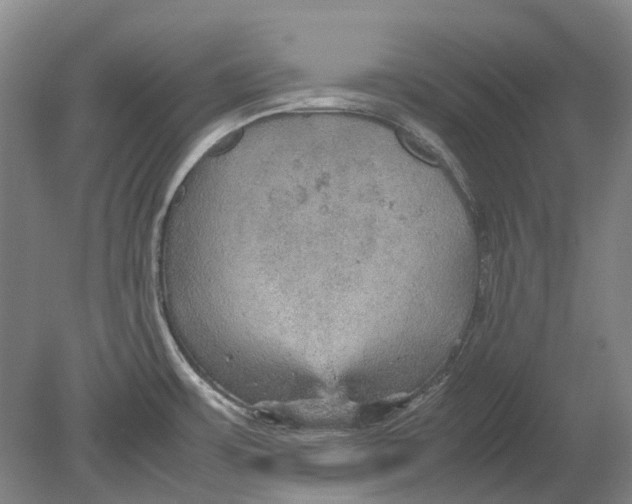 X0000080681483200701051021