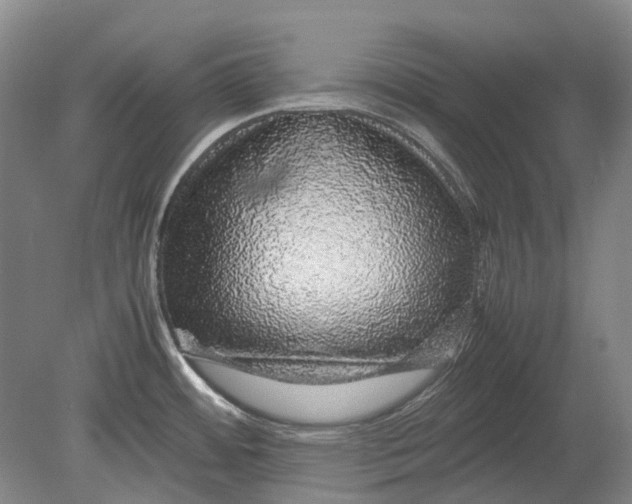 X0000080681484200701051021