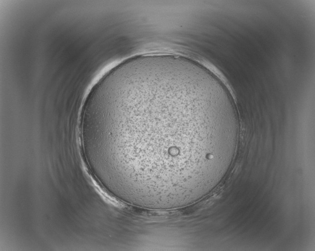 X0000080681485200701051021