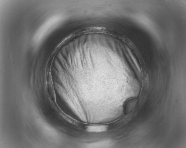 X0000080681487200701051021