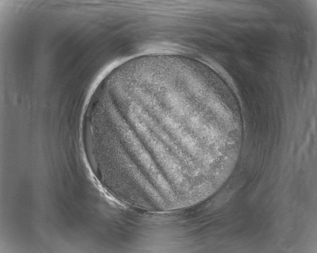 X0000080681488200701051021