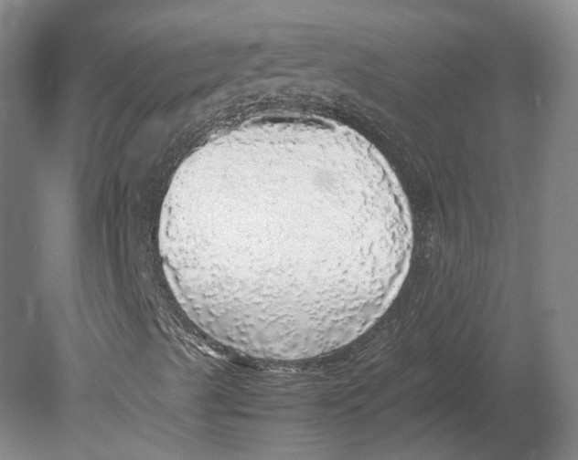 X0000080681489200701051020