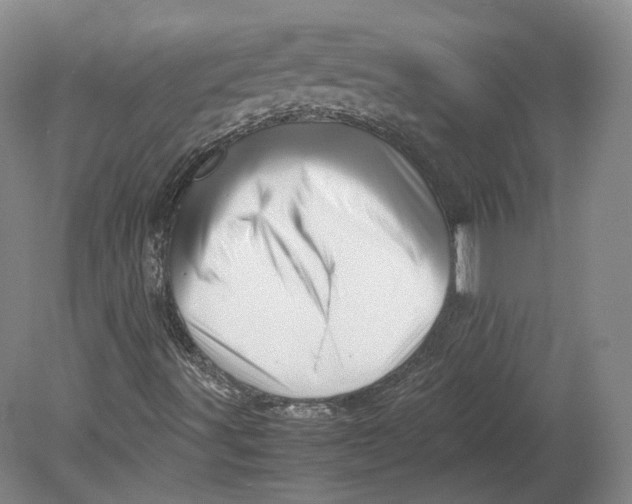 X0000080681491200701051020