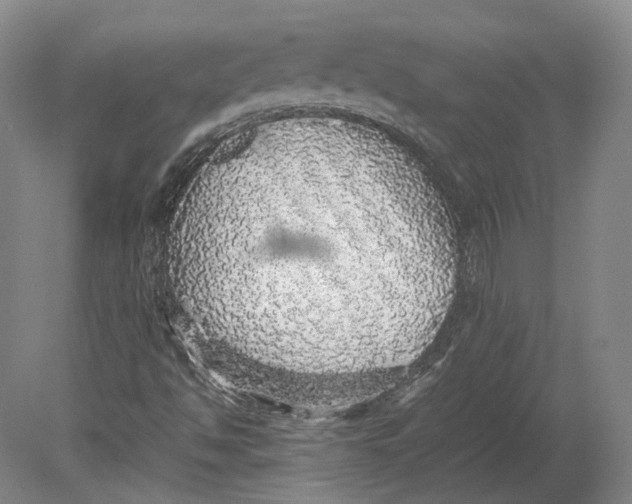 X0000080681494200701051020