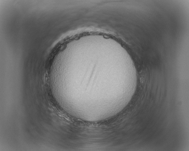 X0000080681495200701051020