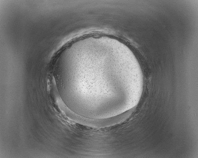 X0000080681496200701051020