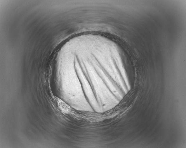 X0000080681497200701051020