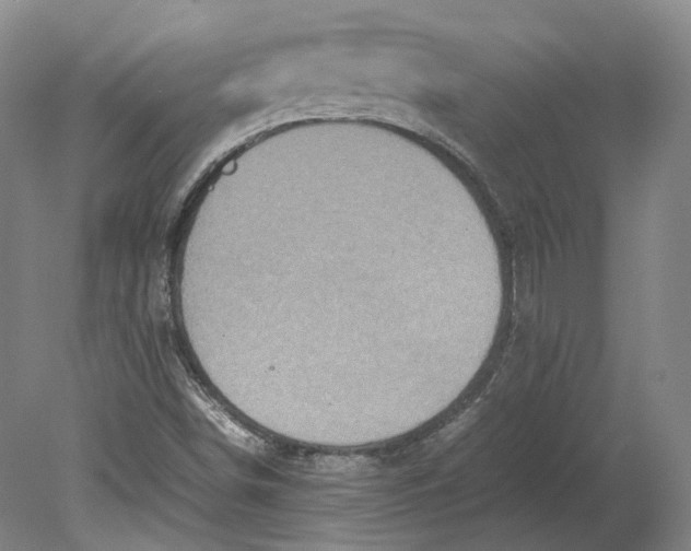 X0000080681498200701051020