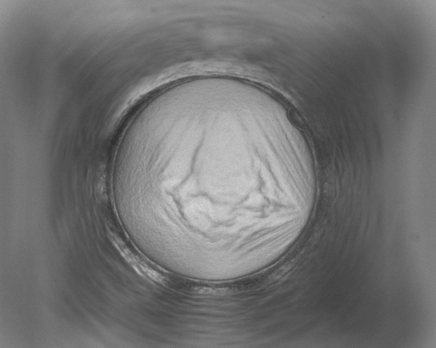 X0000080681499200701051020