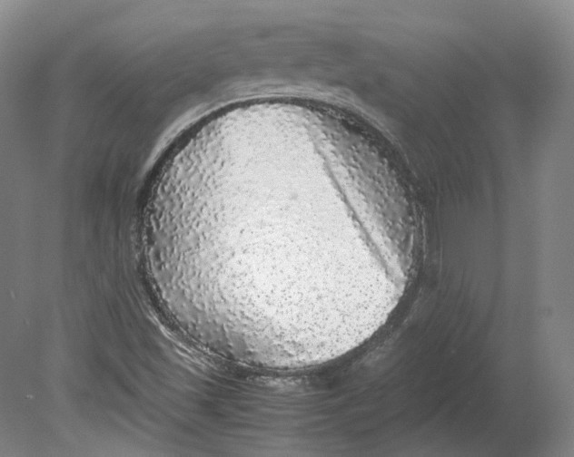 X0000080681501200701051020