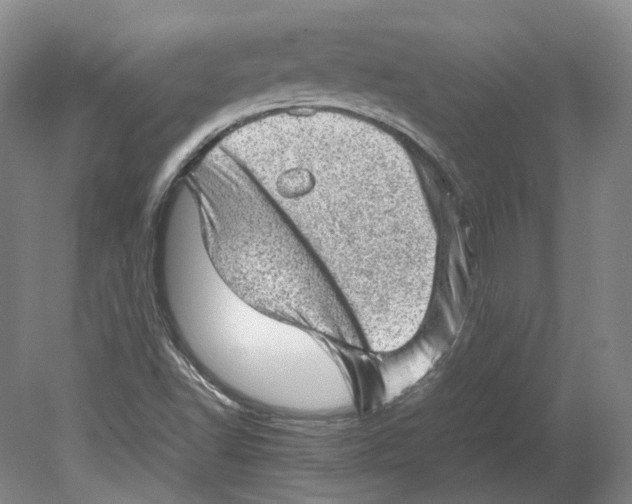 X0000080681502200701051020