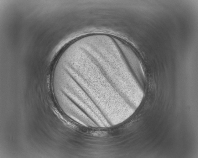 X0000080681503200701051020