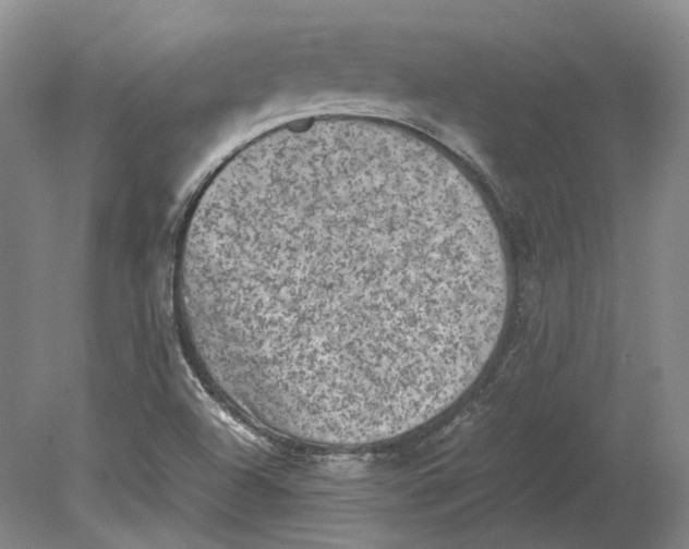 X0000080681504200701051020