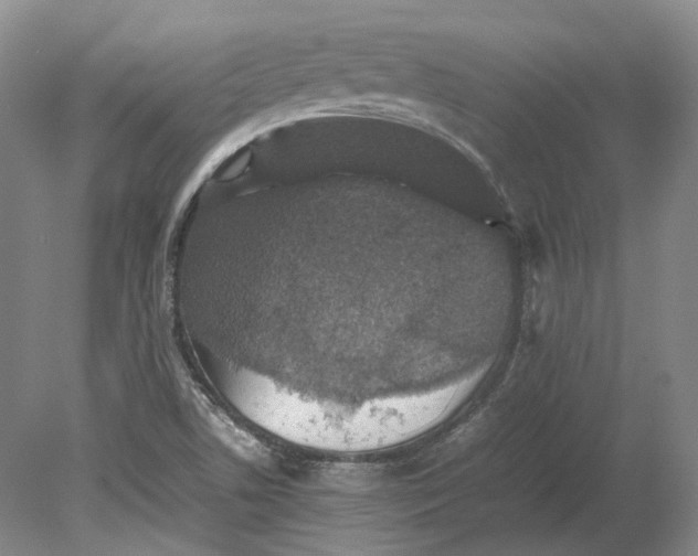 X0000080681506200701051021