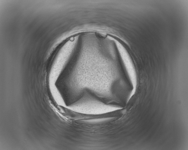 X0000080681507200701051021