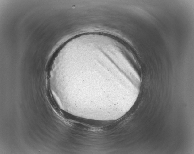 X0000080681509200701051021