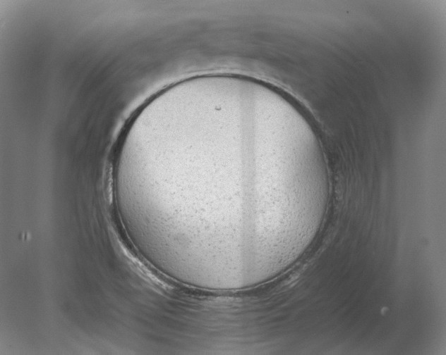 X0000080681510200701051021