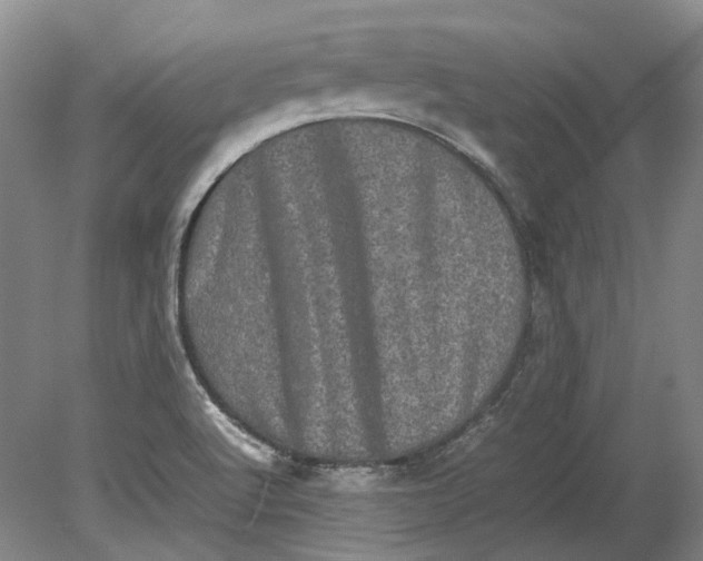 X0000080681512200701051021