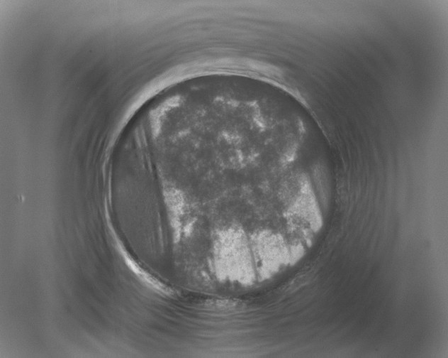 X0000080681515200701051021