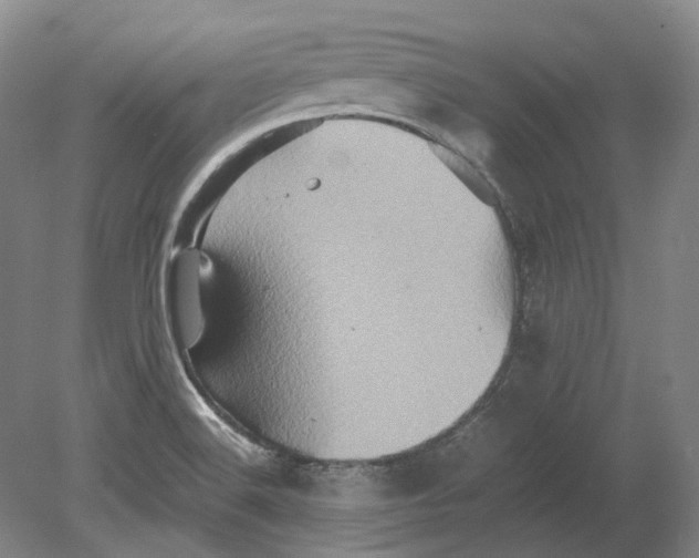 X0000080681516200701051021