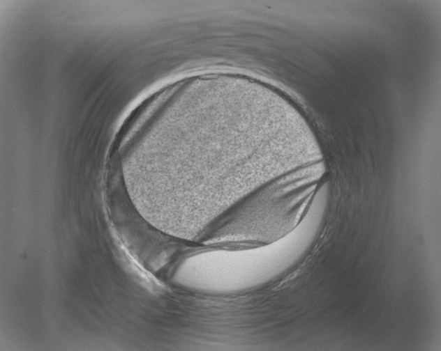 X0000080681518200701051021