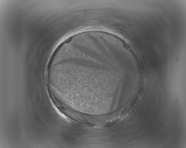 X0000080681519200701051021