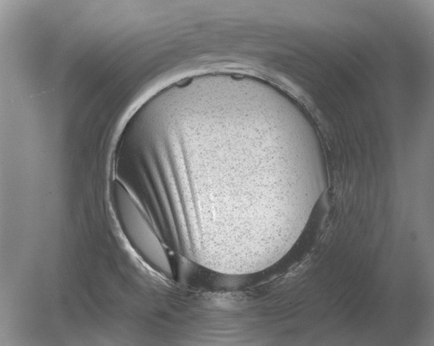 X0000080681520200701051021