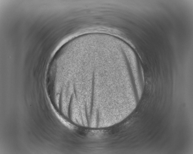 X0000080681523200701051021