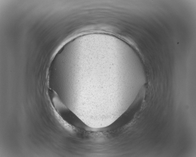 X0000080681524200701051021