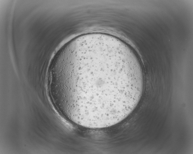 X0000080681525200701051021