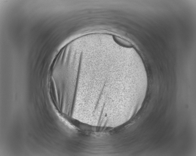 X0000080681526200701051021