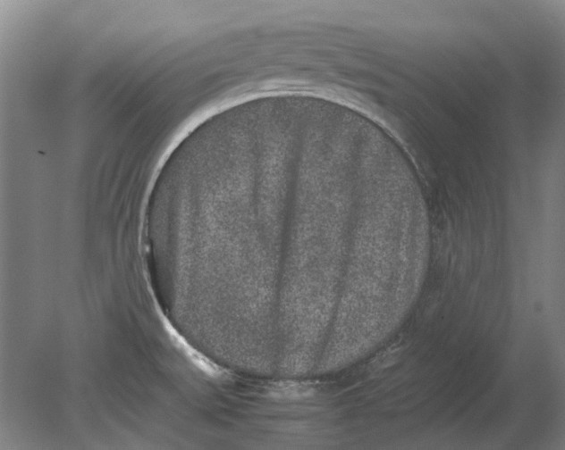 X0000080681527200701051021