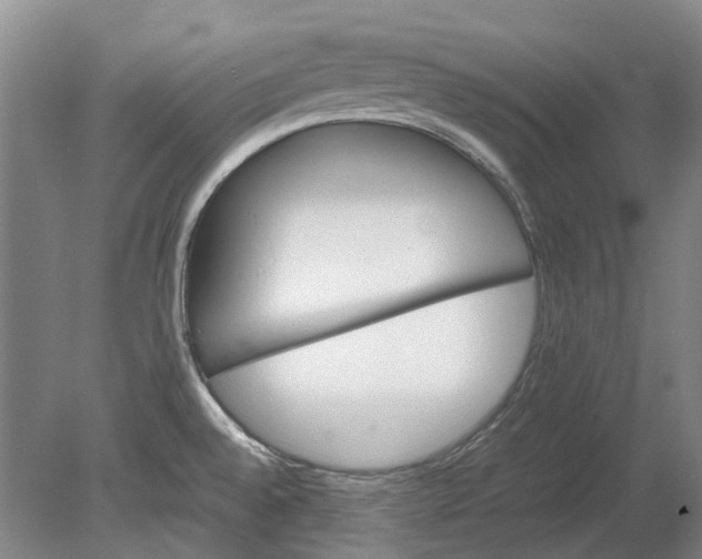 X0000080681528200701051021